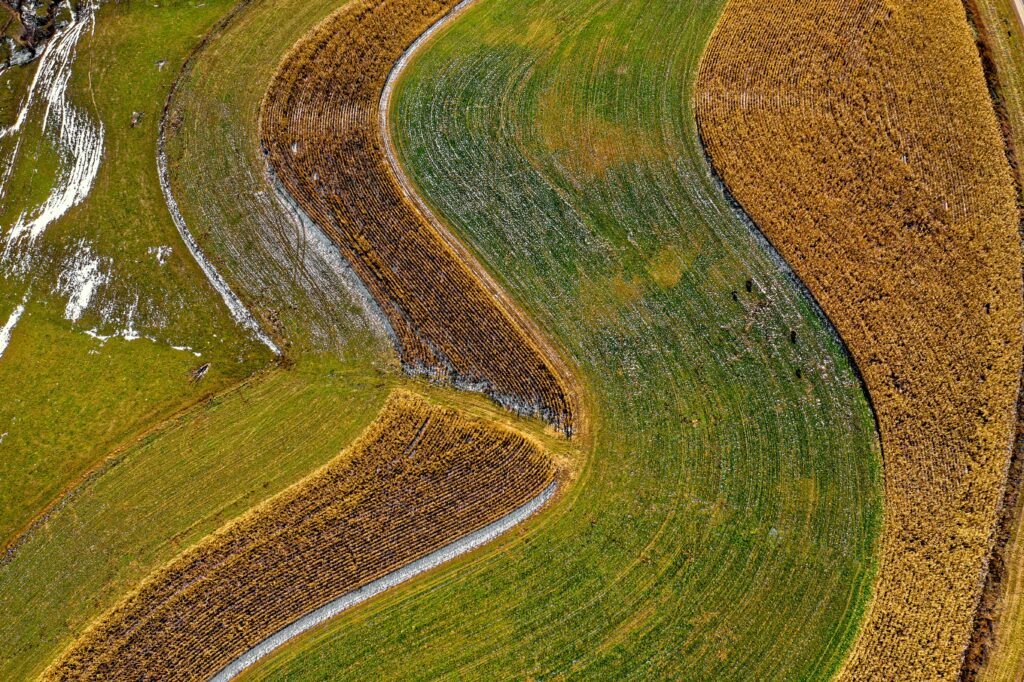 Aerial view of curved farmland in Altura, MN showcasing vibrant seasonal colors and patterns.